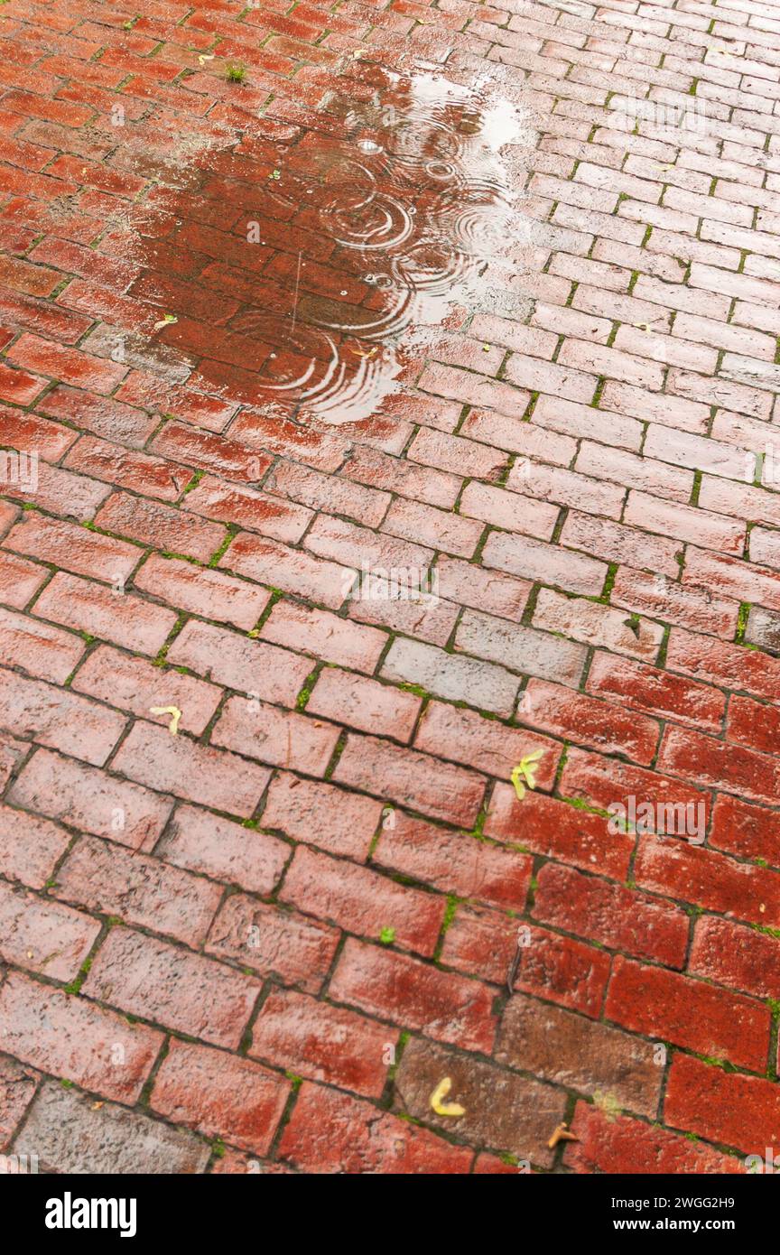 Le Roger Williams National Memorial, l'établissement original de Providence, Rhode Island, établi par le ministre Roger Williams en 1636 Banque D'Images