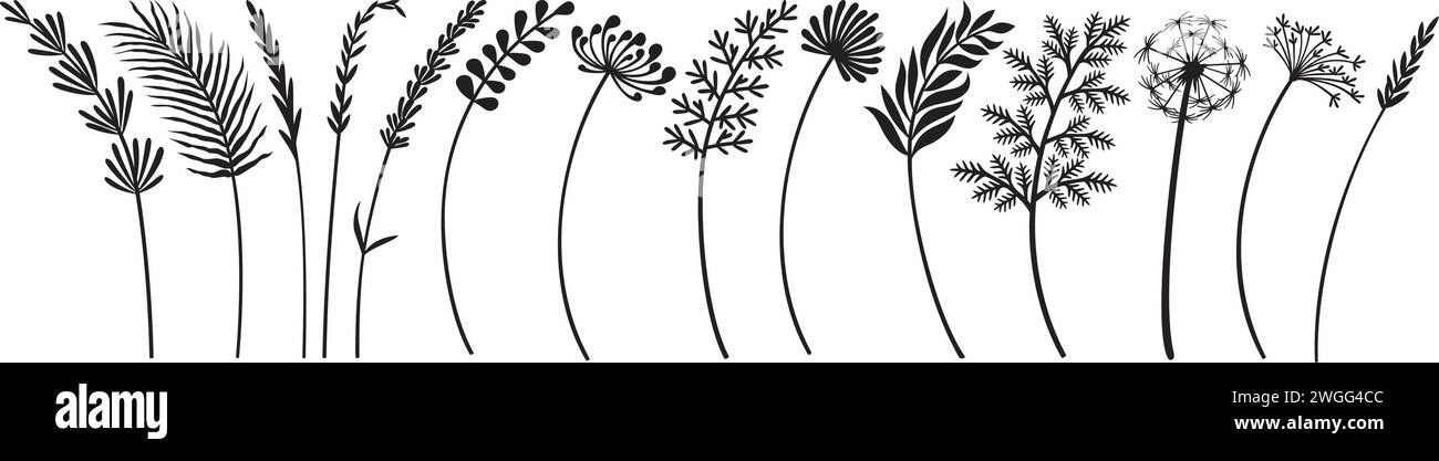 Wild Flowers Collection Noir et Blanc. Illustration vectorielle. Illustration de Vecteur