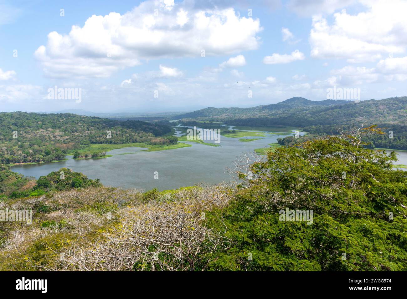 Rainforest and River Chagres, Teleferico Aerial Tram, Soberania National Park, Canalera de Gamboa, Panama City, province de Panama, République du Panama Banque D'Images