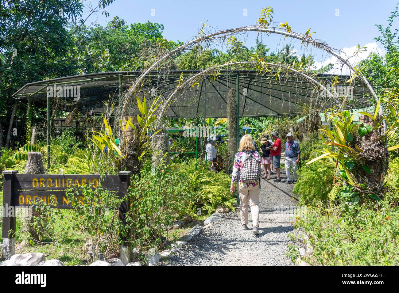 Orquidaria Orchid Nursery, Soberania National Park, Canalera de Gamboa, Panama City, Panama Province, République du Panama Banque D'Images