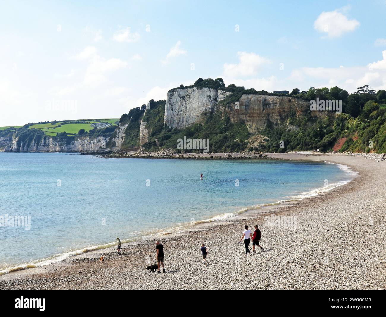 Touristes se relaxant sur les falaises de plage de galets à l'arrière, Seaton, Devon, Royaume-Uni, Europe. Banque D'Images