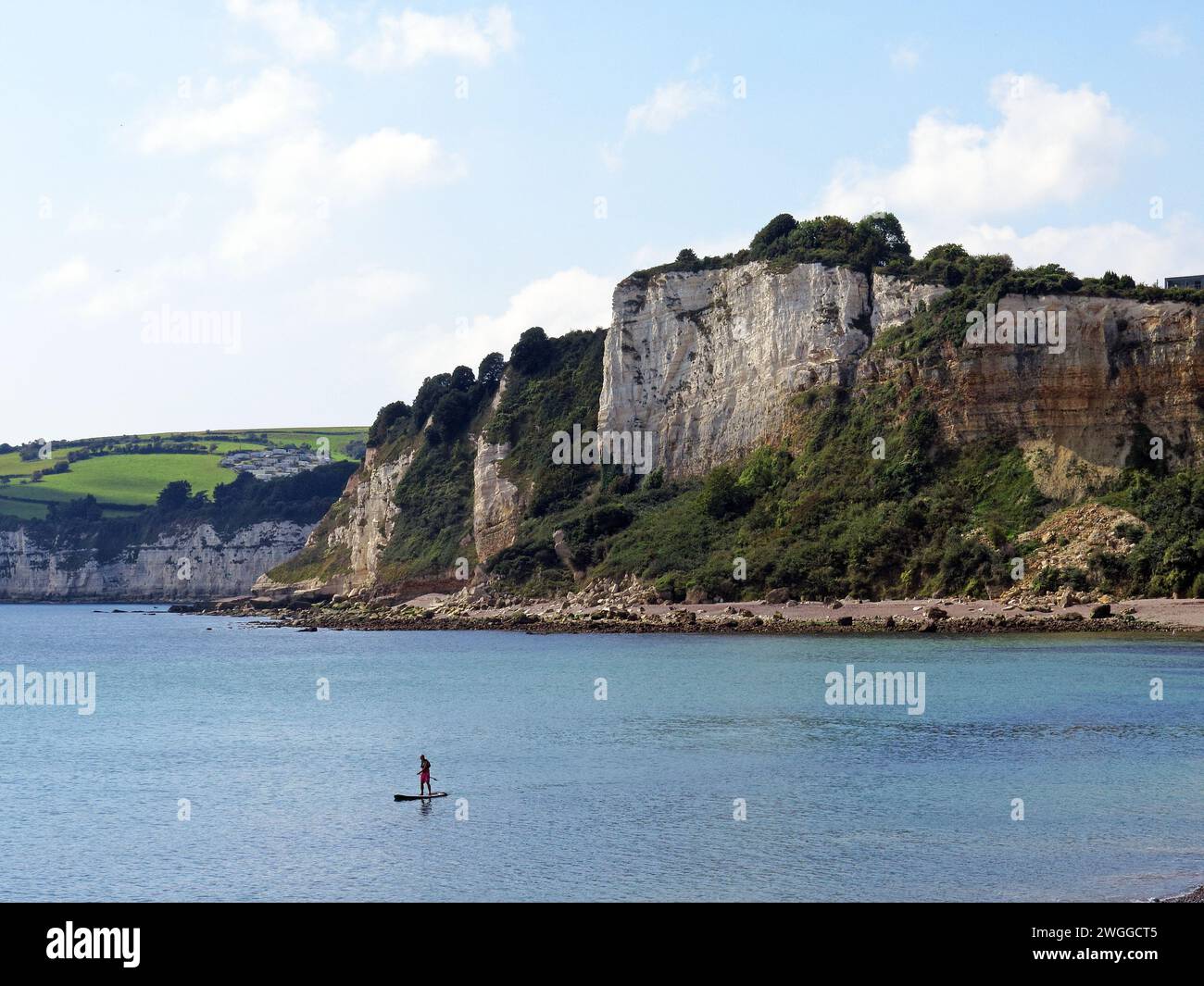 Touristes paddleboard avec des falaises jurassiques à l'arrière, Seaton, Devon, Royaume-Uni, Europe. Banque D'Images