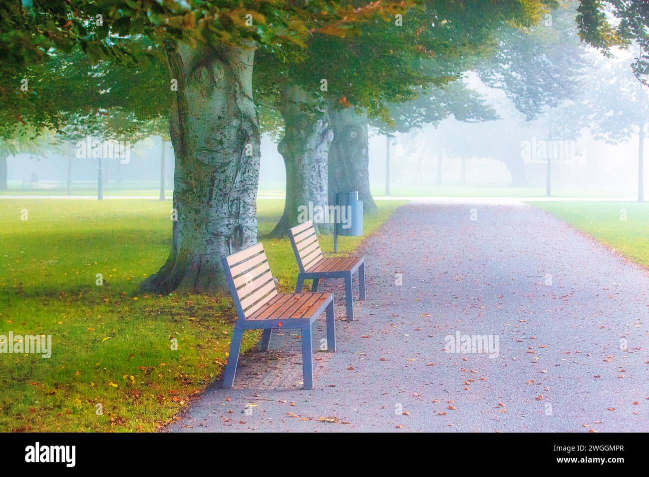 Banc de parc tranquille dans l'environnement naturel d'automne Banque D'Images