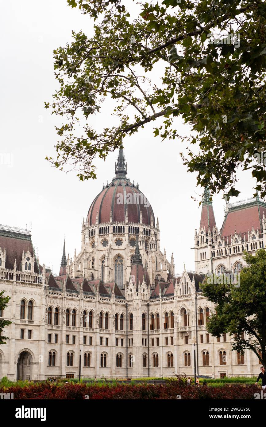Bâtiments du Parlement à Budapest avec arbre encadrant l'image Banque D'Images