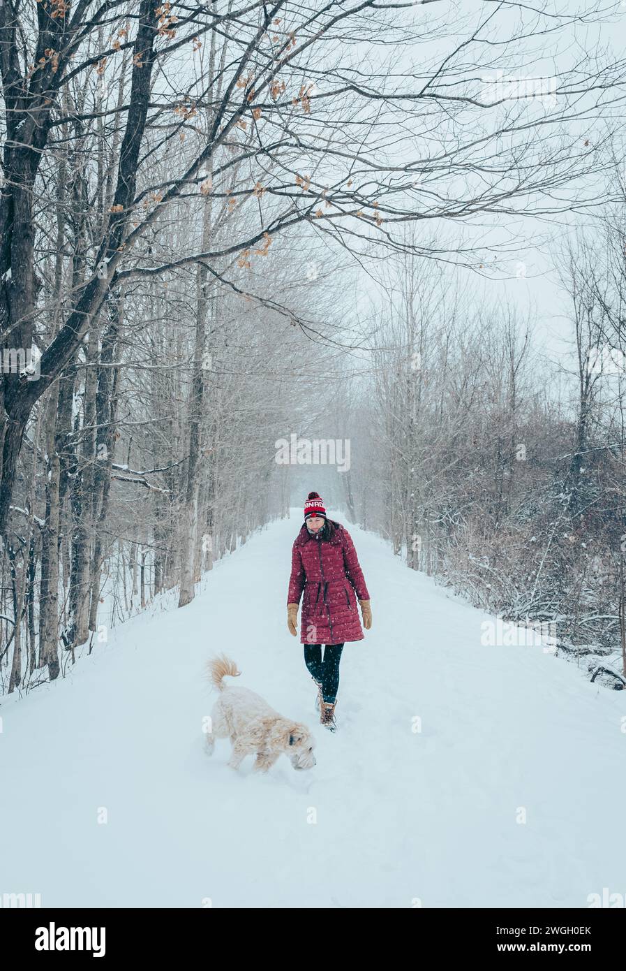 Femme et chien marchant sur le sentier boisé enneigé le jour d'hiver. Banque D'Images