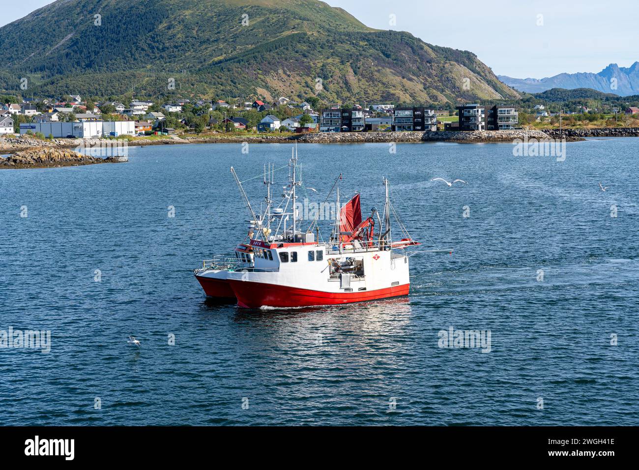 Bateau rouge et blanc flottant dans l'eau près du rivage Banque D'Images
