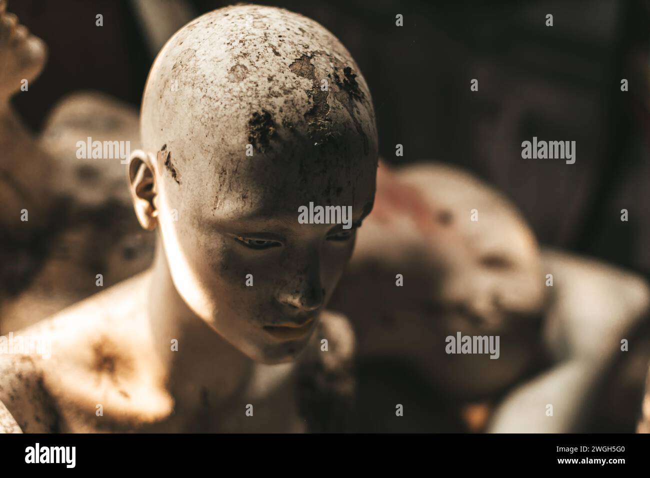 vieille tête de poupée de mannequin sale Banque D'Images
