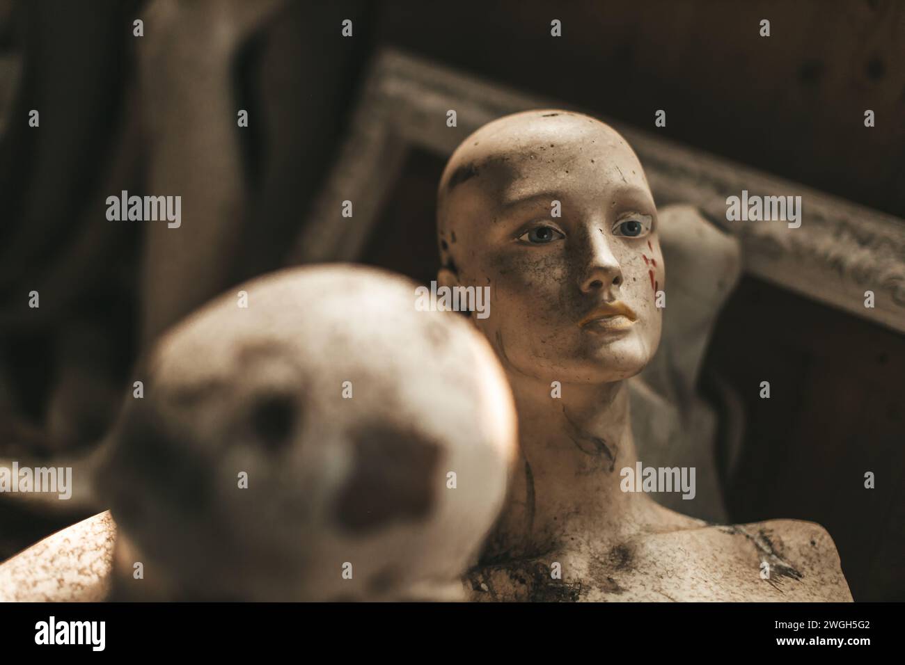 vieille tête de poupée mannequin dans le stockage Banque D'Images