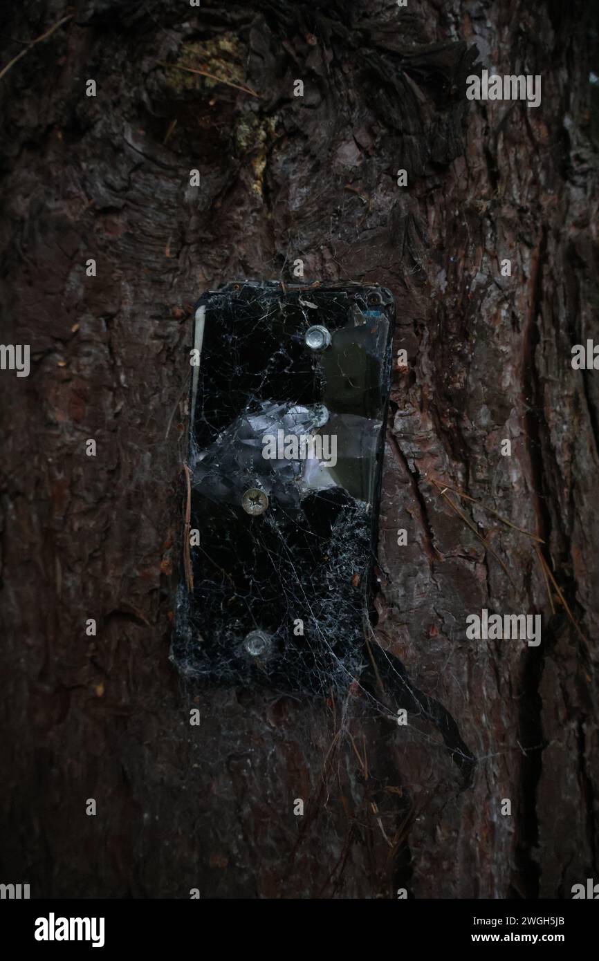 Un téléphone intelligent qui a été détruit et cloué à un arbre dans le Suffolk, en Angleterre. L'écran du téléphone est fissuré et couvert de toiles d'araignée. Banque D'Images