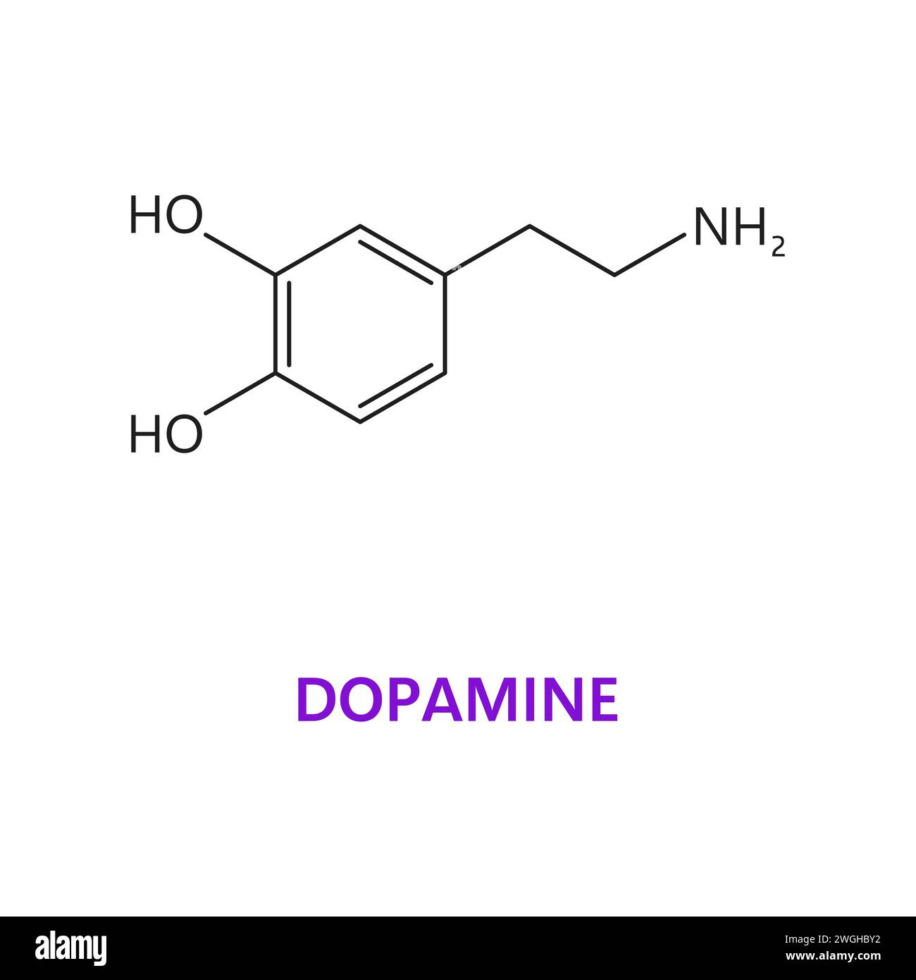 Neurotransmetteur, formule chimique et structure moléculaire de la dopamine, molécule vectorielle. Neuromodulateur dopaminergique ou neurones et modulateur de signal de cellules nerveuses dans le système nerveux et les récepteurs du corps humain Illustration de Vecteur