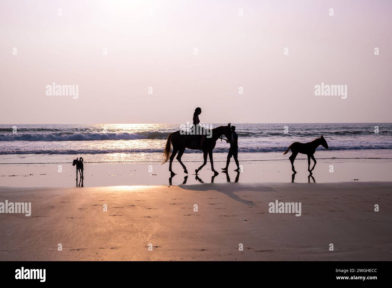 Agonda, Goa, Inde, touristes faisant de l'équitation sur la plage, éditorial seulement. Banque D'Images