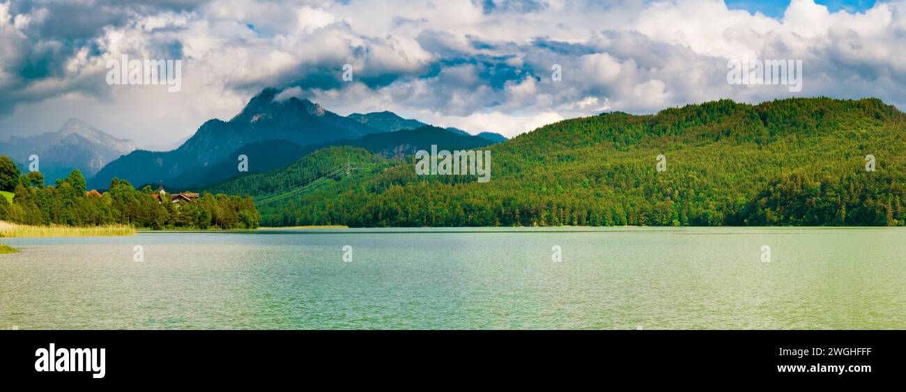 Scène tranquille : forêt verte et réflexion dans Mountain Lake Banque D'Images