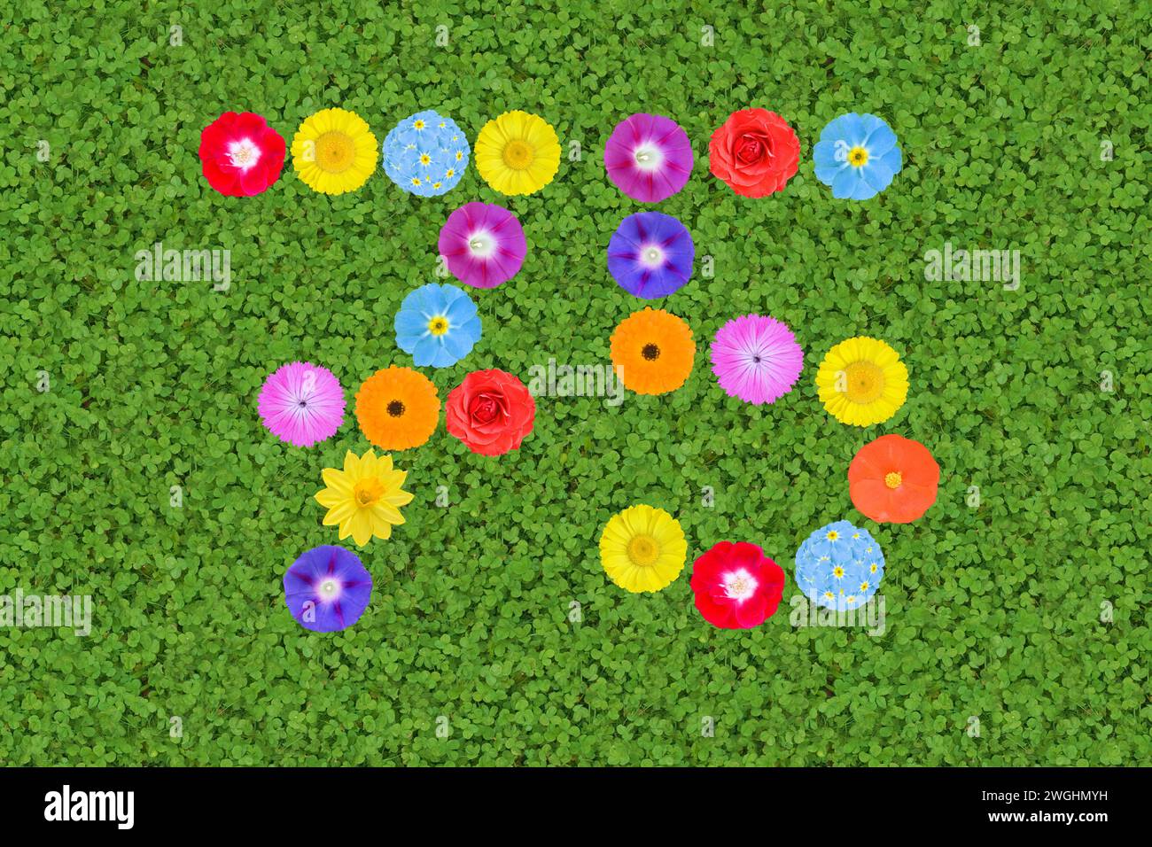 le numéro 75, écrit avec des fleurs de différentes couleurs Banque D'Images
