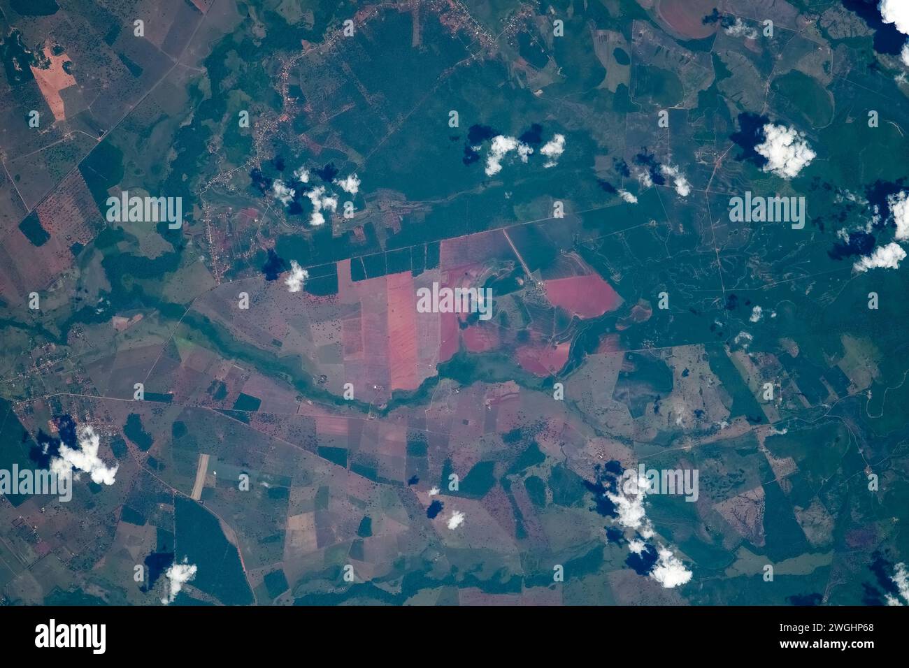 Terrain caractéristique champ agricole, Paraguay Banque D'Images