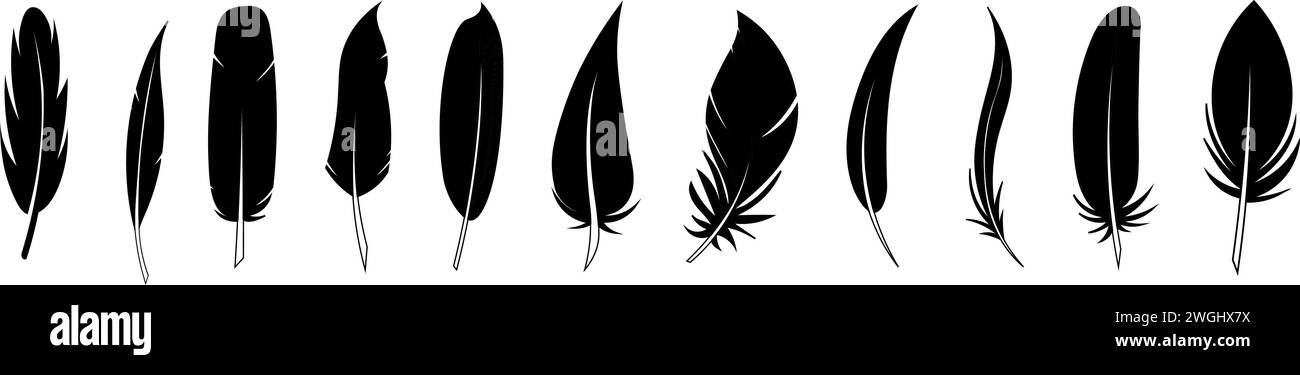 Ensemble de plume noire dans un style plat. Ensemble de plumes d'oiseau. Icônes vectorielles de stylo. Silhouette de plume de courtepointe noire. Illustration de Vecteur