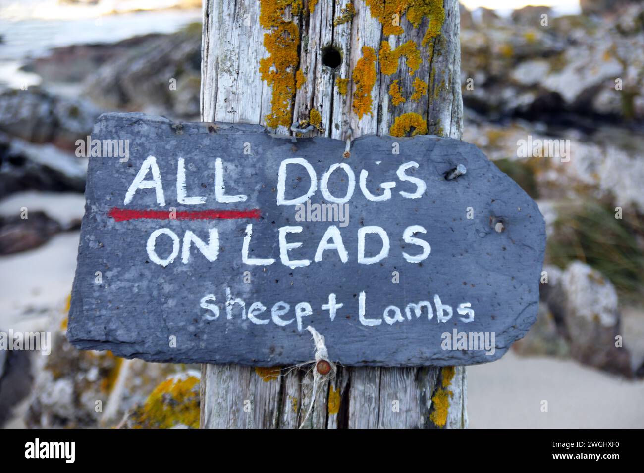Un panneau demandant de garder tous les chiens sur les pistes, sur une plage dans les Hébrides intérieures de l'Écosse Banque D'Images