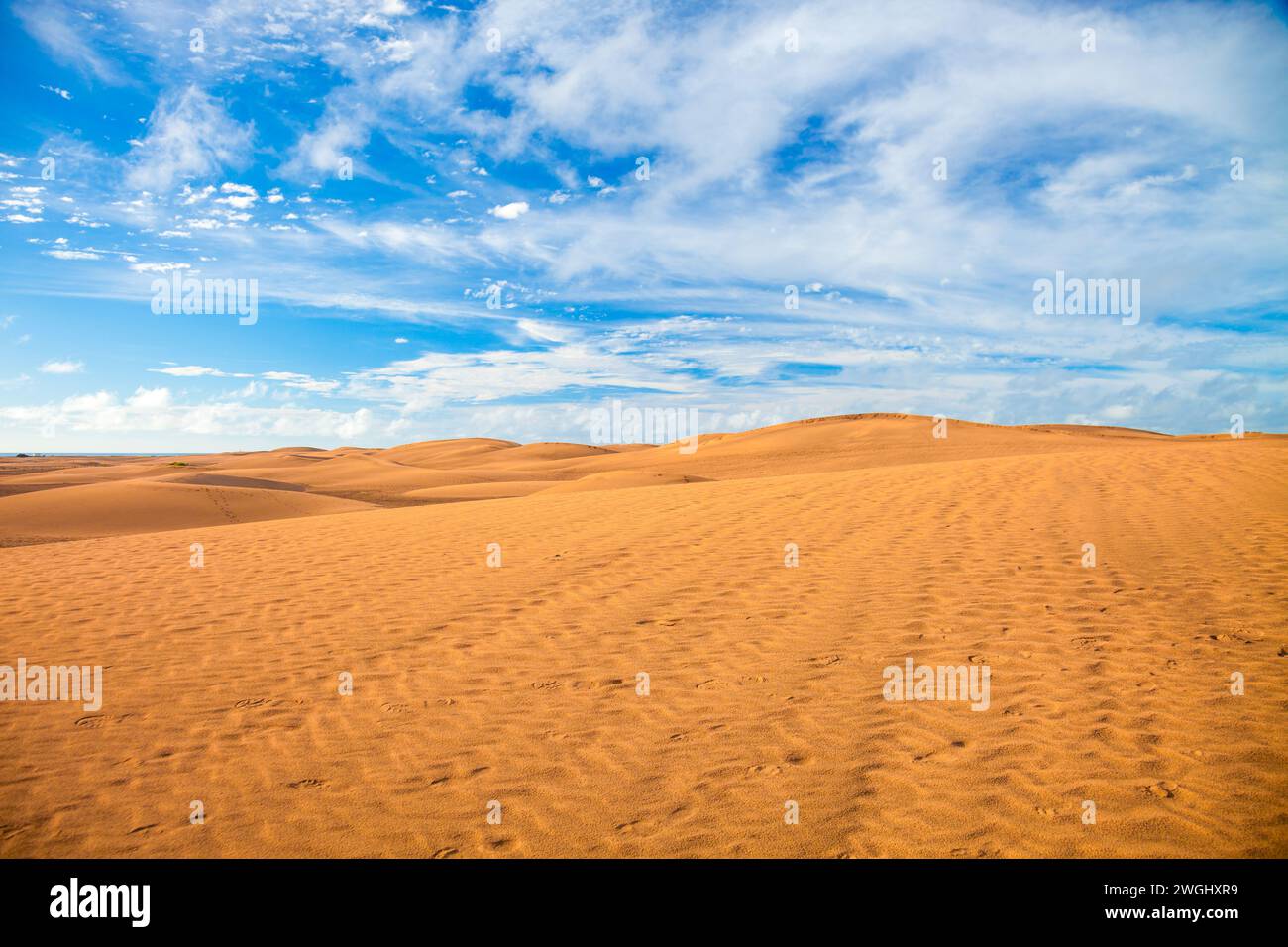 Climat aride : beauté dans la nature avec le désert et les dunes de sable Banque D'Images