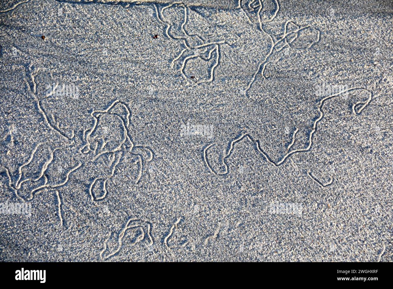 Des sentiers de ver font des motifs intéressants sur le sable humide au bord de l'estran alors que la marée recule sur l'île d'Iona, dans les Hébrides intérieures de l'Écosse Banque D'Images