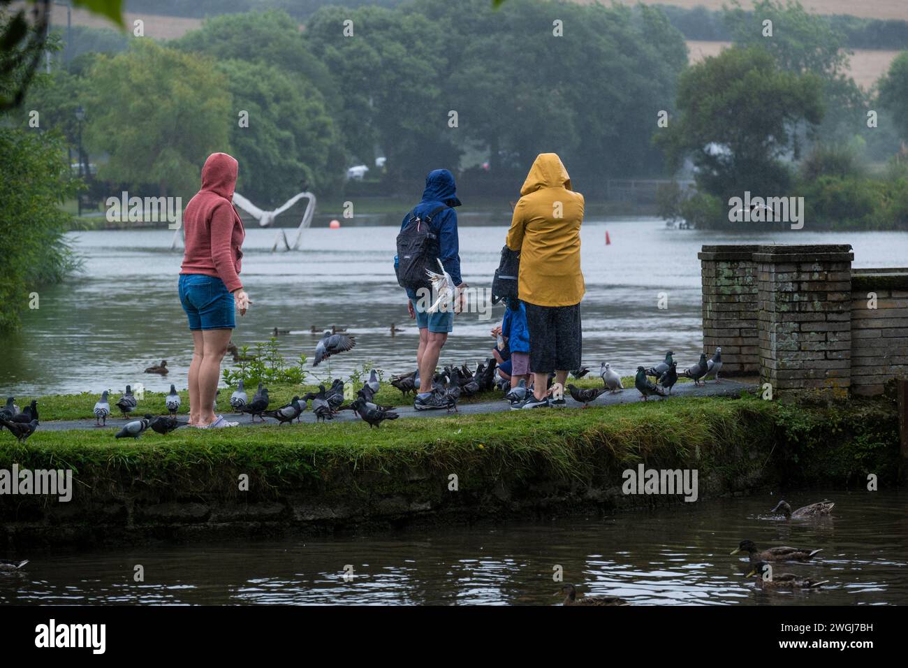 Les gens nourrissant les pigeons par temps pluvieux à Trenance Boating Lake à Newquay en Cornouailles au Royaume-Uni. Banque D'Images