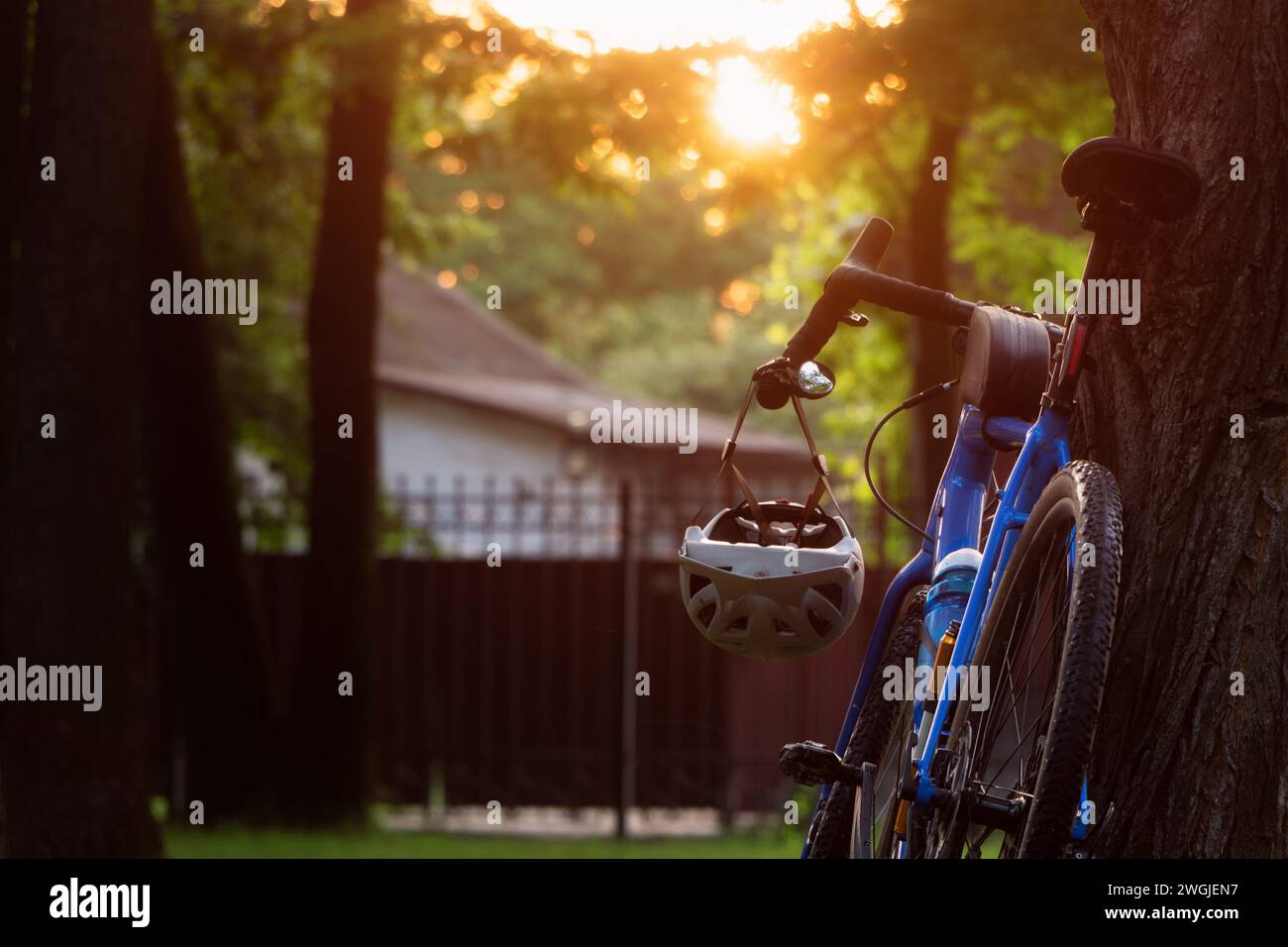 Vélo de gravier debout près de l'arbre dans le parc au coucher du soleil. Vue arrière. Banque D'Images