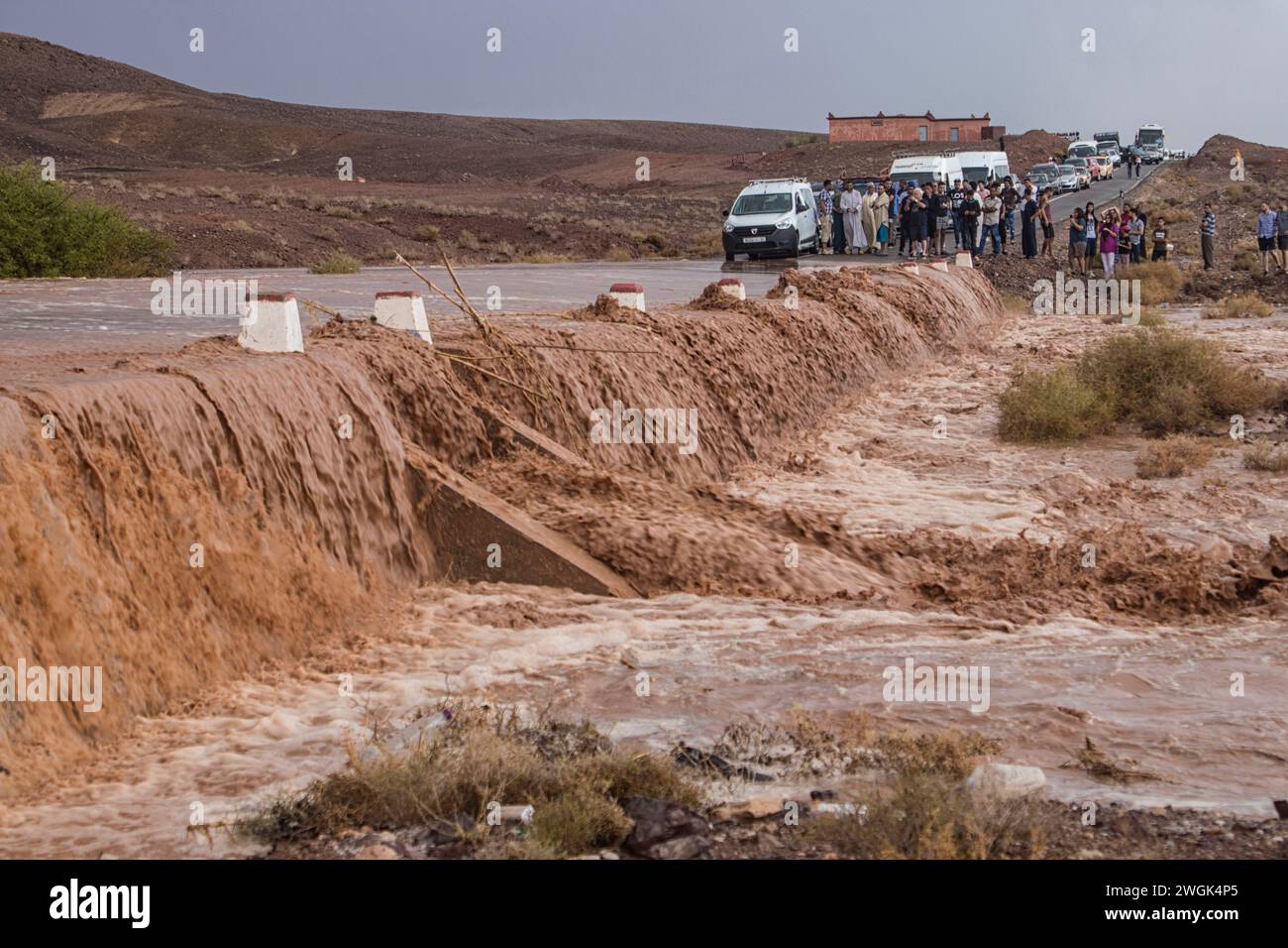 Crues soudaines à Merzouga, une petite ville marocaine dans le désert du Sahara, près de la frontière algérienne. Il est connu comme une porte d’entrée vers Erg Chebbi, une immense étendue de dunes de sable au nord de la ville. À l’ouest de Merzouga, Dayet Srji est un lac salé saisonnier qui est souvent sec en été. Lorsqu'il est plein, il attire un large éventail d'oiseaux migrateurs et désertiques, y compris les parulines du désert, les cauchemars égyptiens et, occasionnellement, les flamants roses. Maroc. Banque D'Images