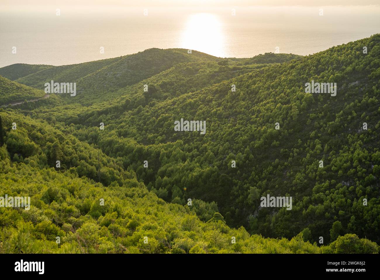 Coucher de soleil pins, oliveraies et vue sur la mer sur une île grecque. Coucher de soleil méditerranéen depuis le point de vue d'Agalas. Assis et regardant le coucher du soleil à Zakynth Banque D'Images