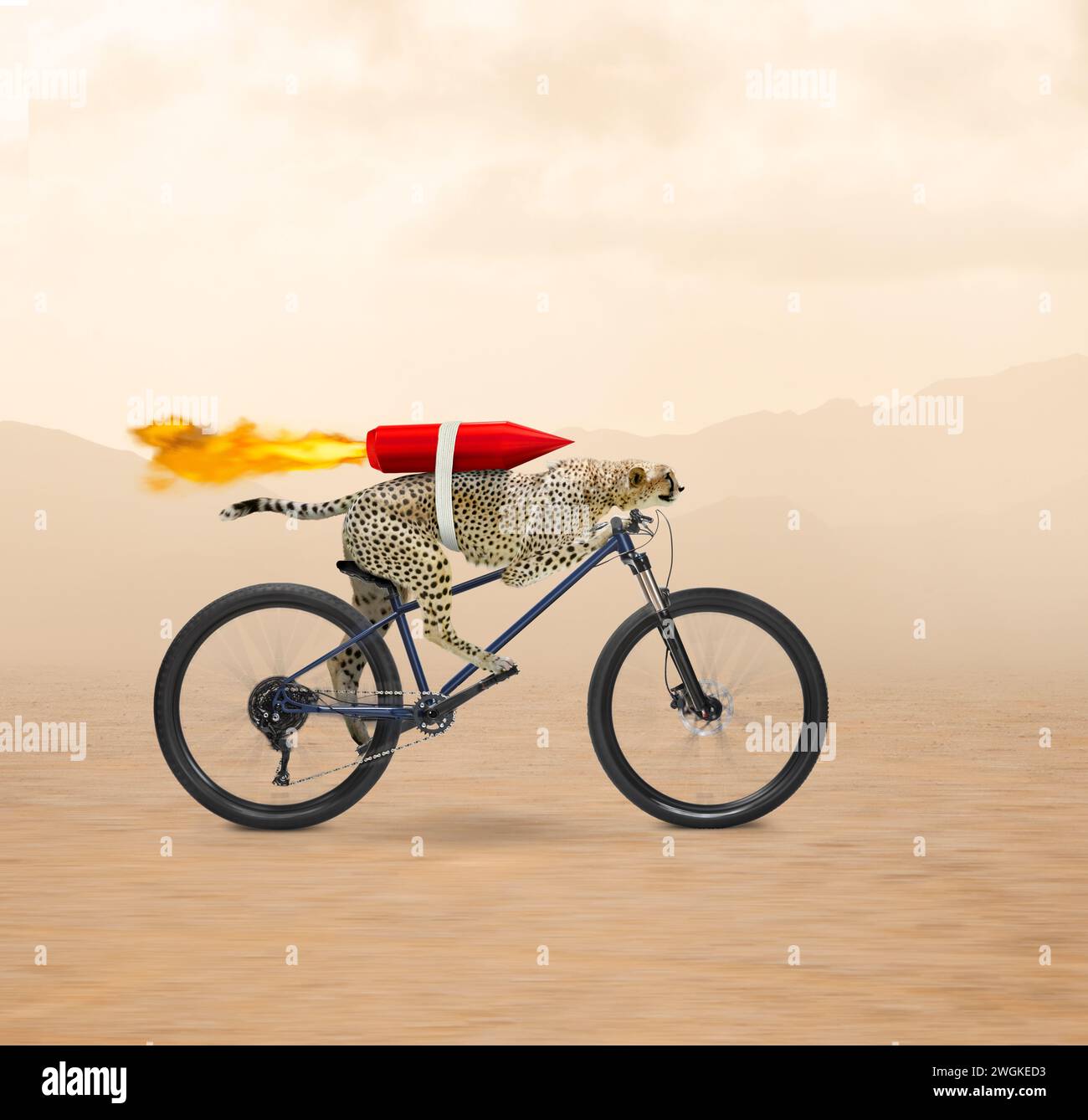 Un drôle de guépard a une fusée accrochée à son dos alors qu'il roule à travers la terre sur un vélo dans une image sur la vitesse, la technologie et l'innovation. Banque D'Images