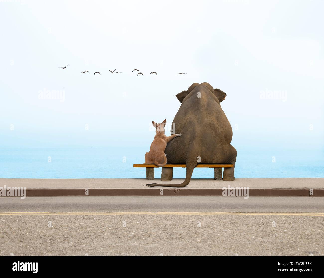Grande «amitié» est illustrée dans cette image drôle d'un chien avec son bras autour d'un éléphant alors qu'ils sont assis ensemble sur un banc et regardent la mer. Banque D'Images