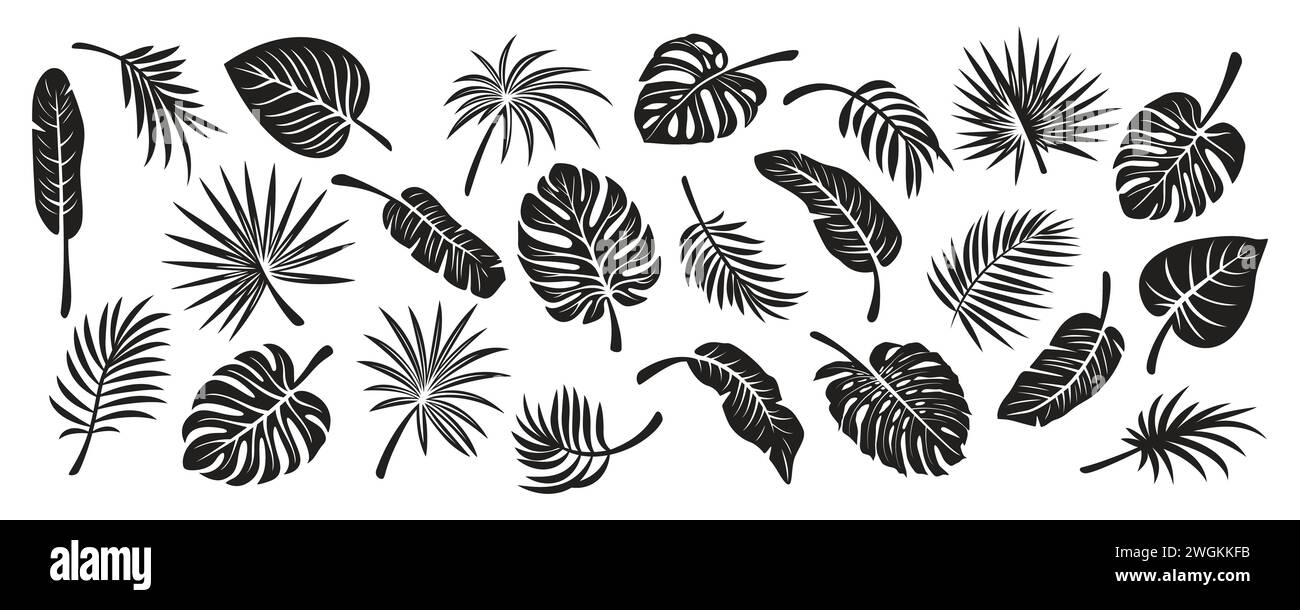 Silhouettes de feuilles tropicales. Flat Vector Black and White Cutout style Monstera, Ficus, Banana Leaf, Dracaena, Sabal Palm Leaves Collecton, isolé Illustration de Vecteur