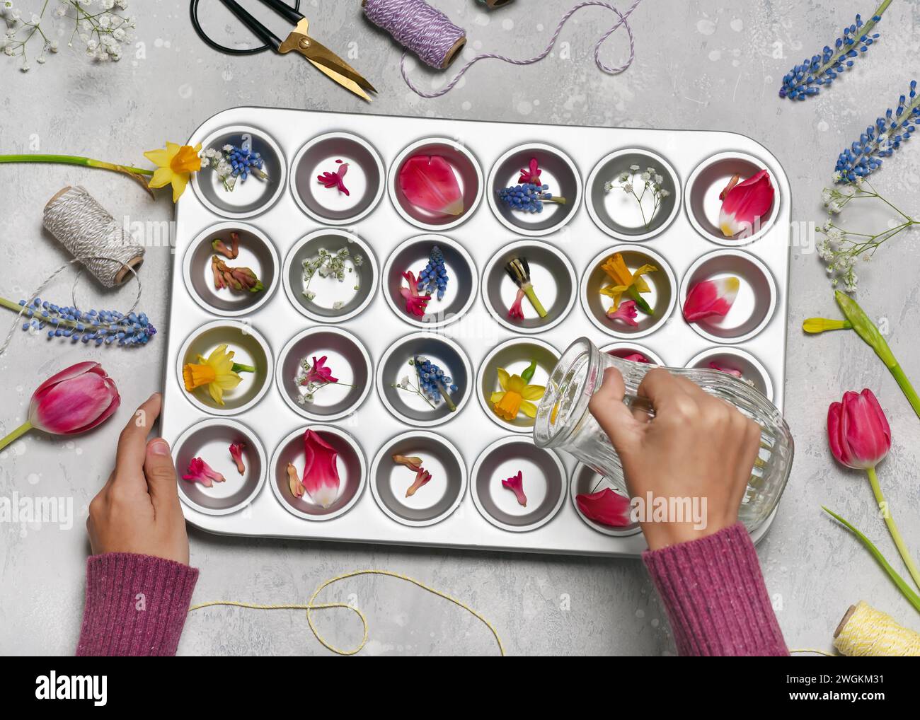 Étape 2. Versez de l'eau dans un moule à muffins. Faire un décor de guirlande de printemps pour Pâques ou la fête des mères avec des enfants. Vue de dessus Banque D'Images