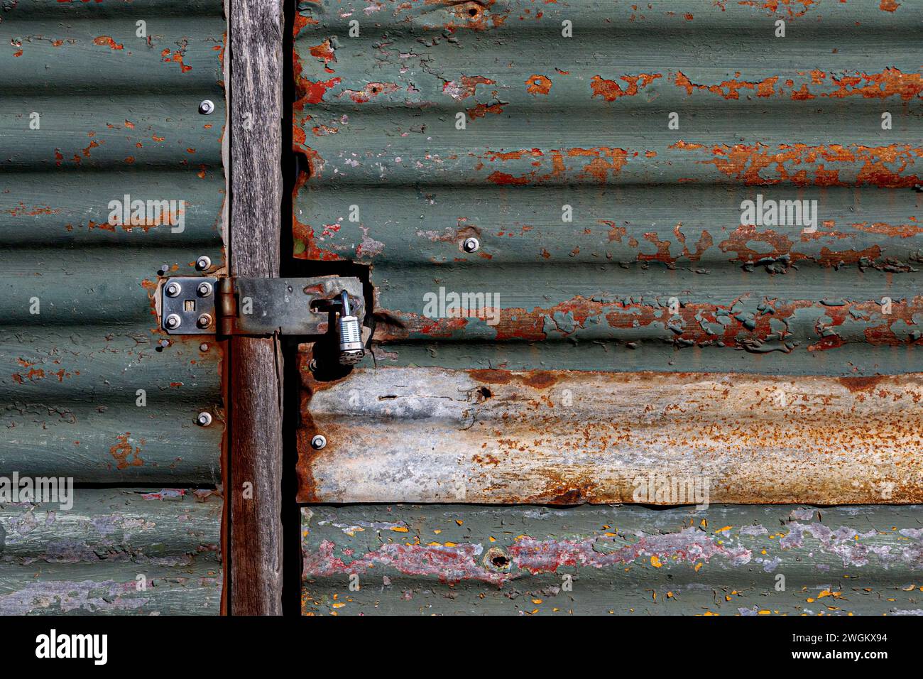 Flaxes, Ross en Nouvelle-Zélande Banque D'Images