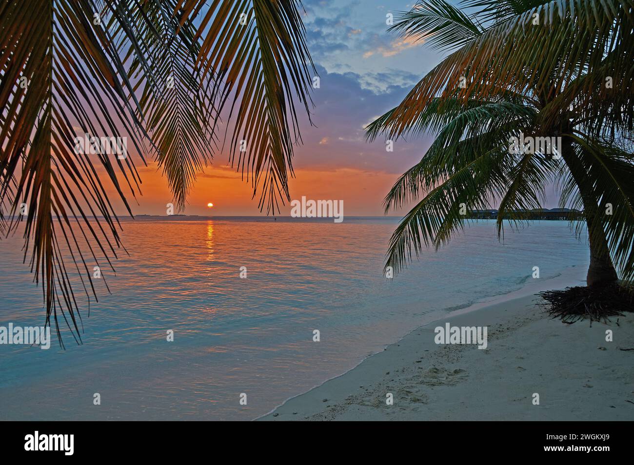 Vilamendhoo, Maldives une île tropicale dans l'océan Indien Banque D'Images