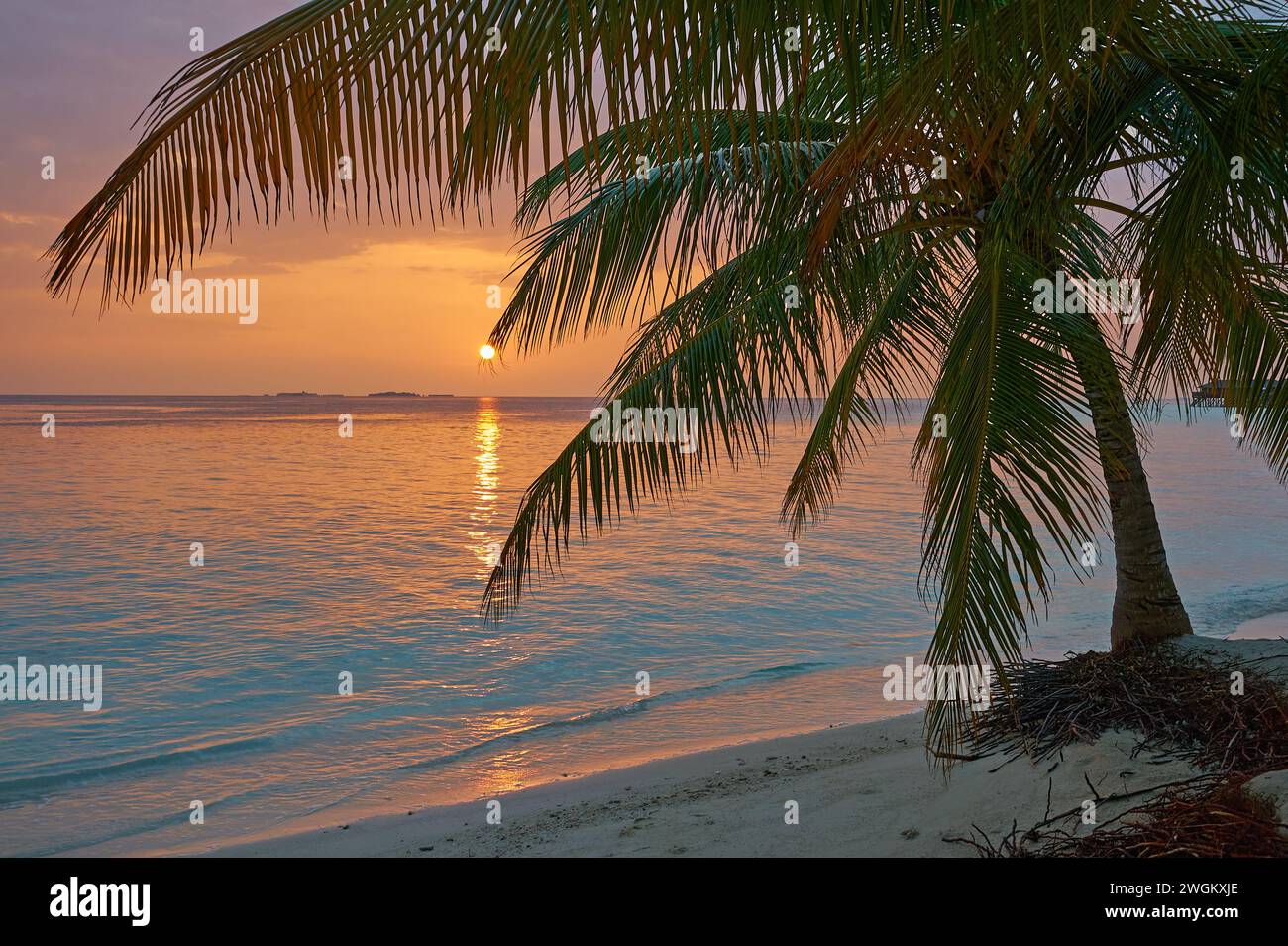 Vilamendhoo, Maldives une île tropicale dans l'océan Indien Banque D'Images