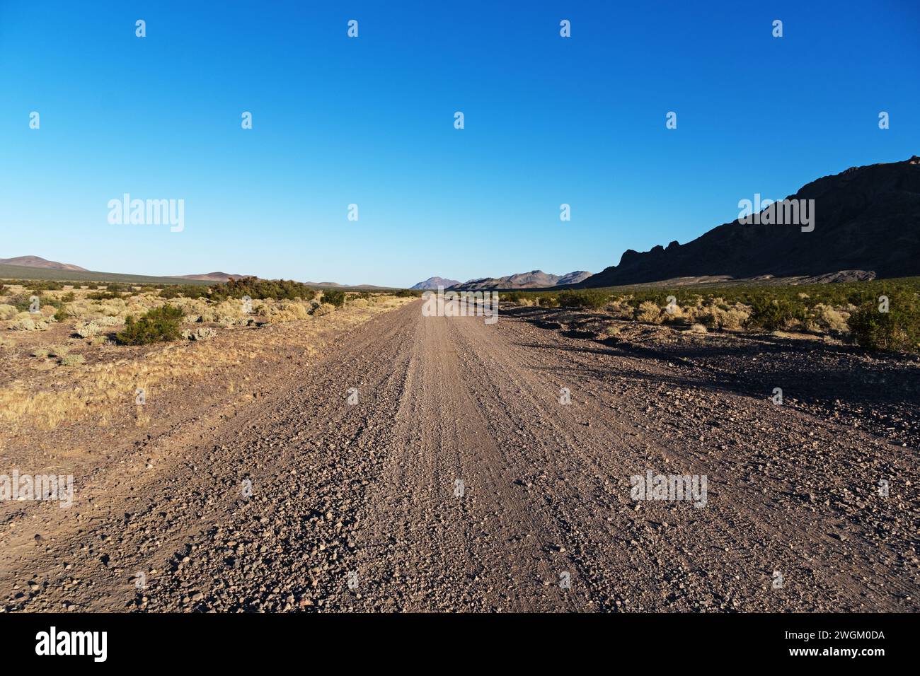 La route de terre du désert d'Alamo s'étend vers l'horizon dans le désert National Wildlife refuge dans le Nevada Banque D'Images