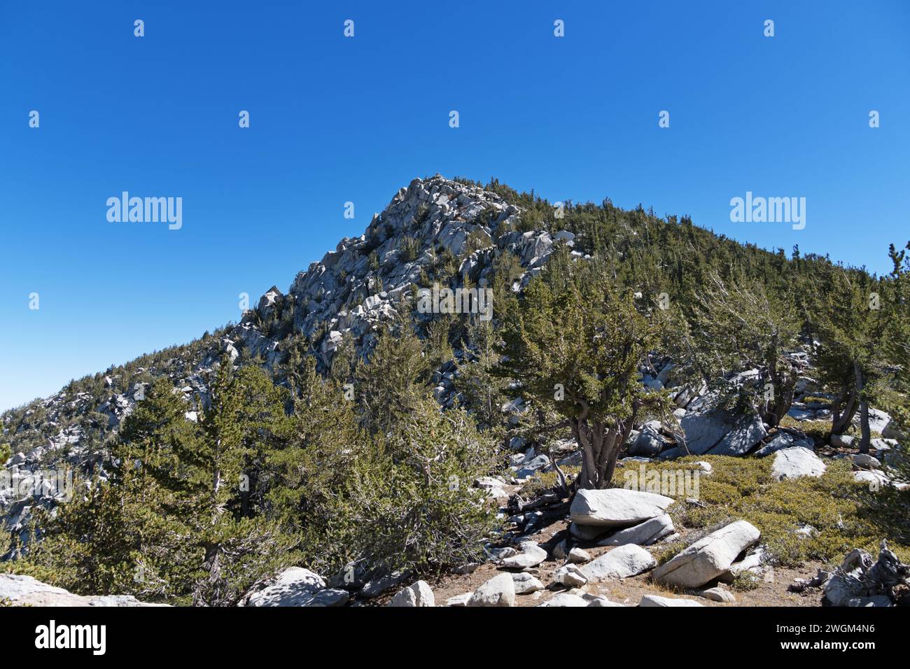 10839 pieds de haut San Jacinto Peak de Folly Peak sur le côté nord-ouest Banque D'Images