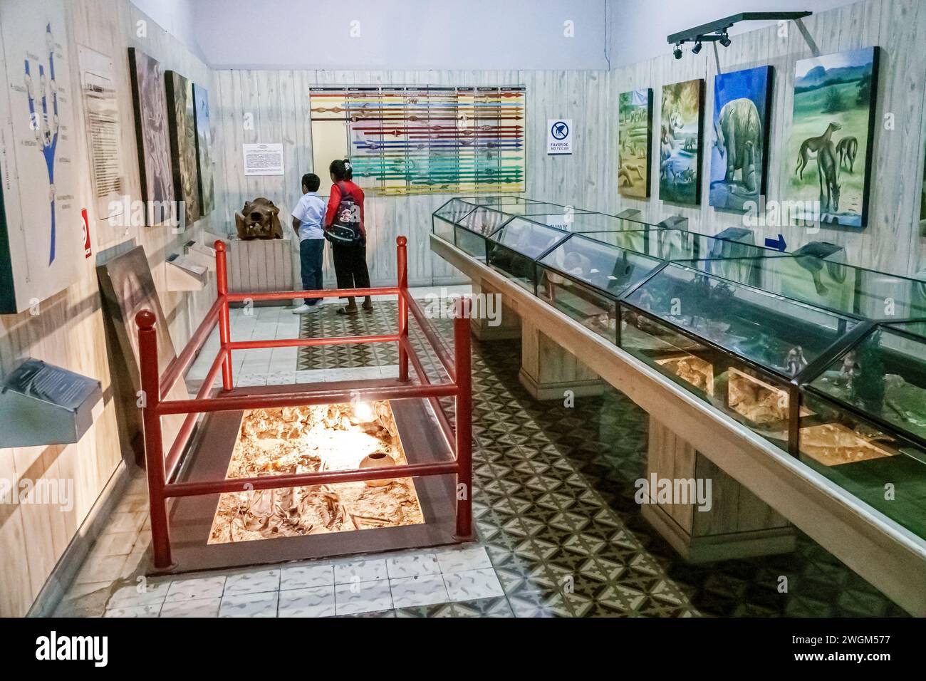 Merida Mexico, Centro, Museo de Historia Musée d'histoire naturelle, intérieur, exposition expose affiche la collection, collections galleri Banque D'Images
