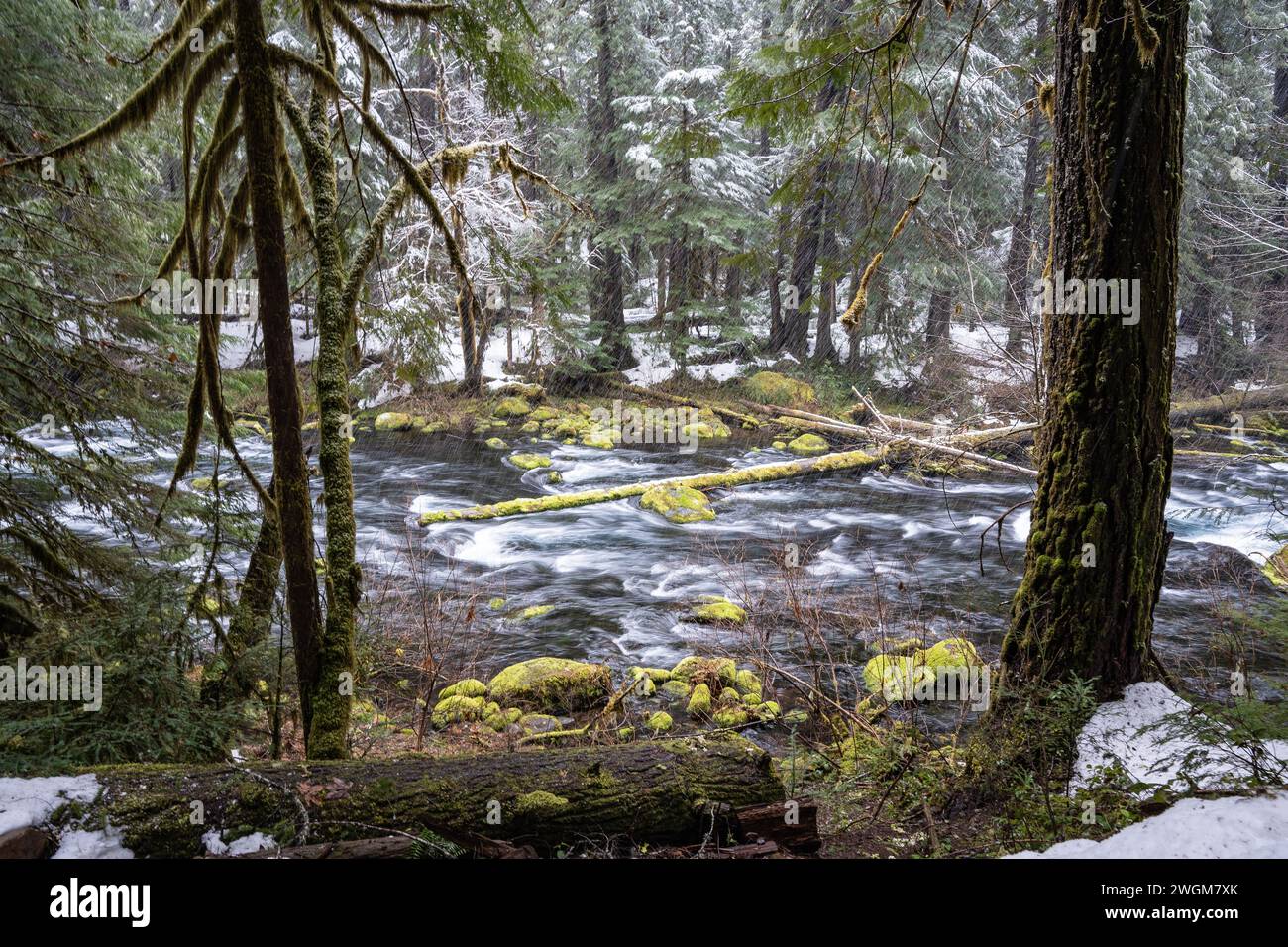 Winter Wonderland : un cliché serein du fleuve Mackenzie dans l'Oregon lors d'une randonnée à couper le souffle. Banque D'Images