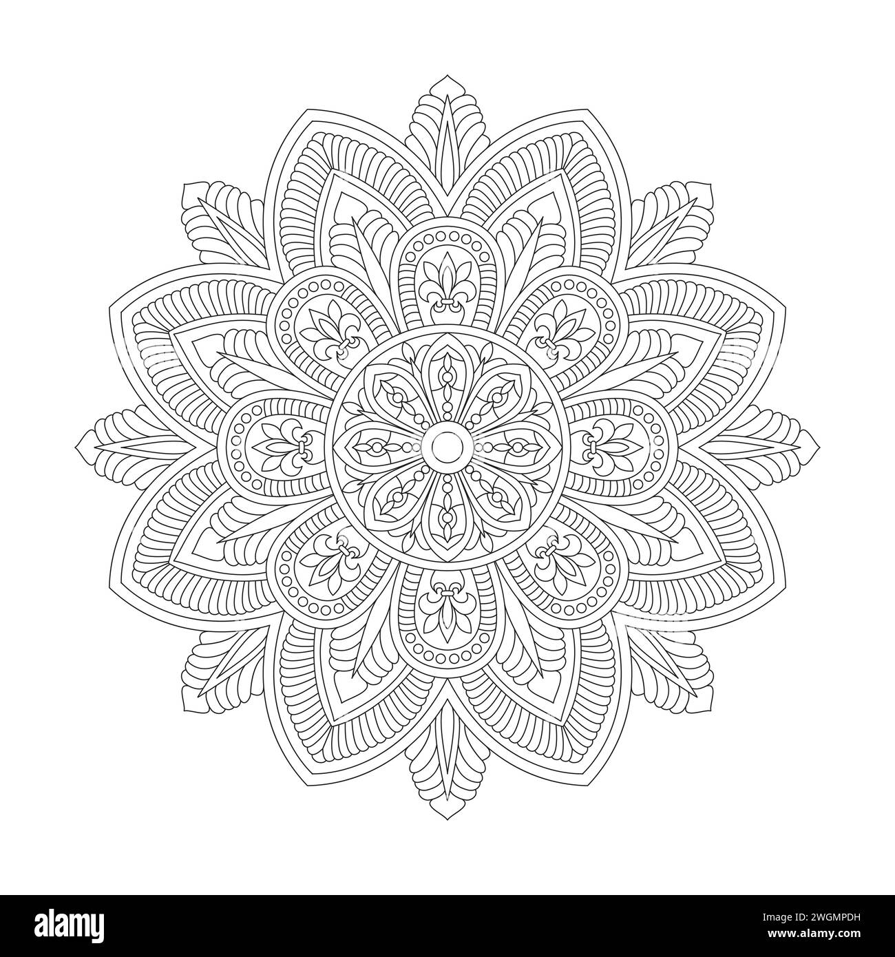 Belle page de livre de coloriage Floral Mandala pour l'intérieur du livre KDP. Pétales paisibles, capacité à se détendre, expériences cérébrales, Haven harmonieux, po paisible Illustration de Vecteur