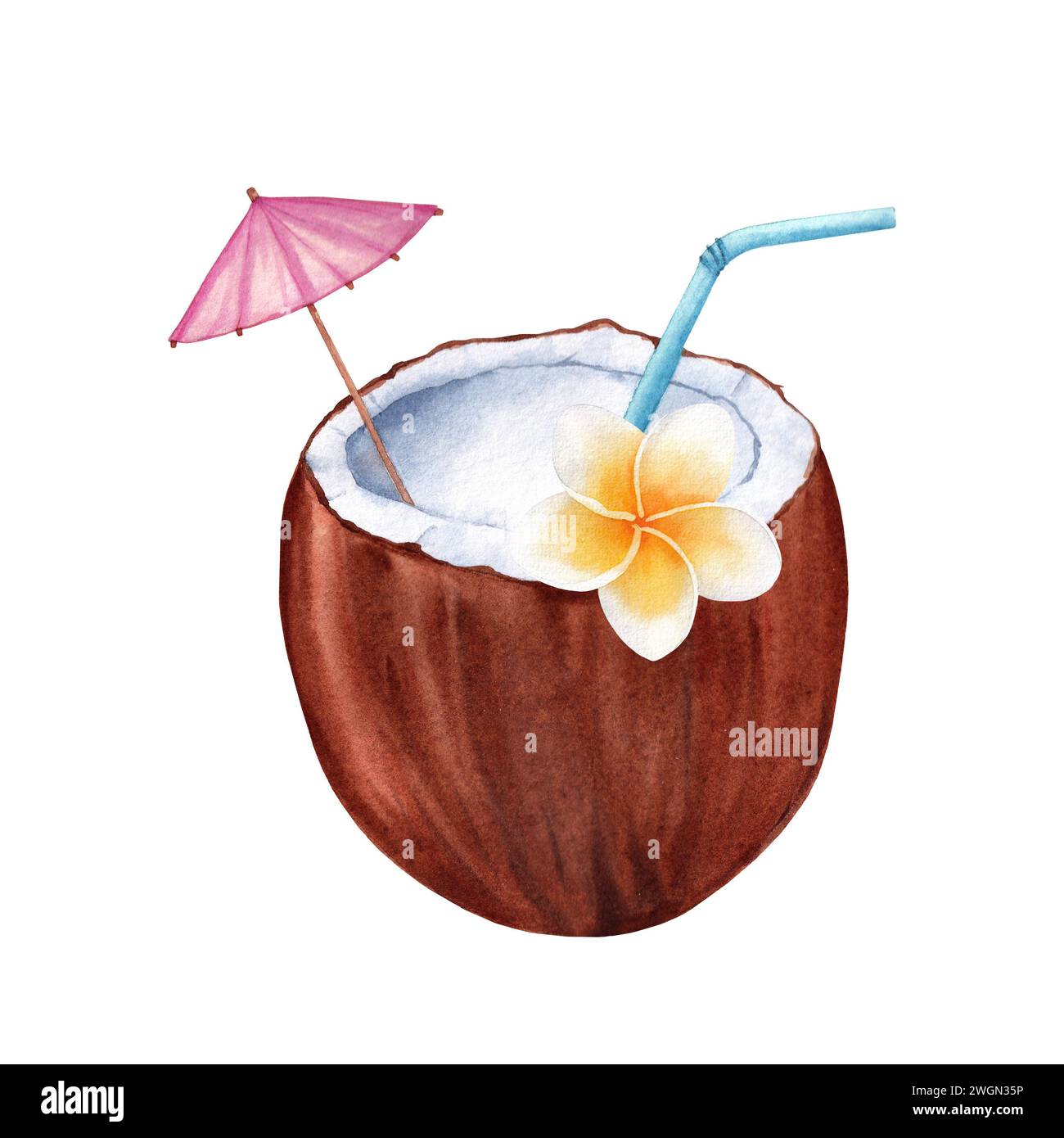 Cocktail de noix de coco dessiné à la main avec des fleurs de plumeria. Cocktail d'été aquarelle sur fond blanc Banque D'Images