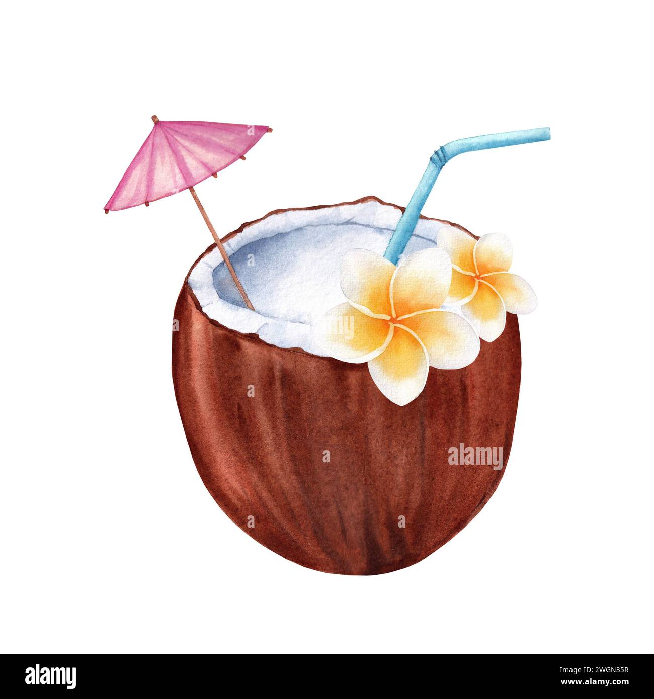 Cocktail de noix de coco dessiné à la main avec des fleurs de plumeria. Cocktail d'été aquarelle sur fond blanc Banque D'Images