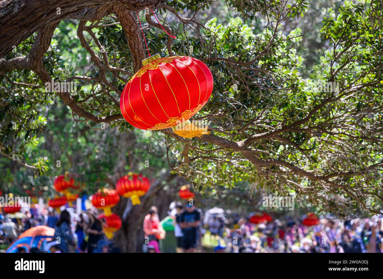 Lanternes chinoises du nouvel an suspendues sous les arbres Pohutukawa. Foule de gens s'amusant à Mission Bay. Auckland. Banque D'Images
