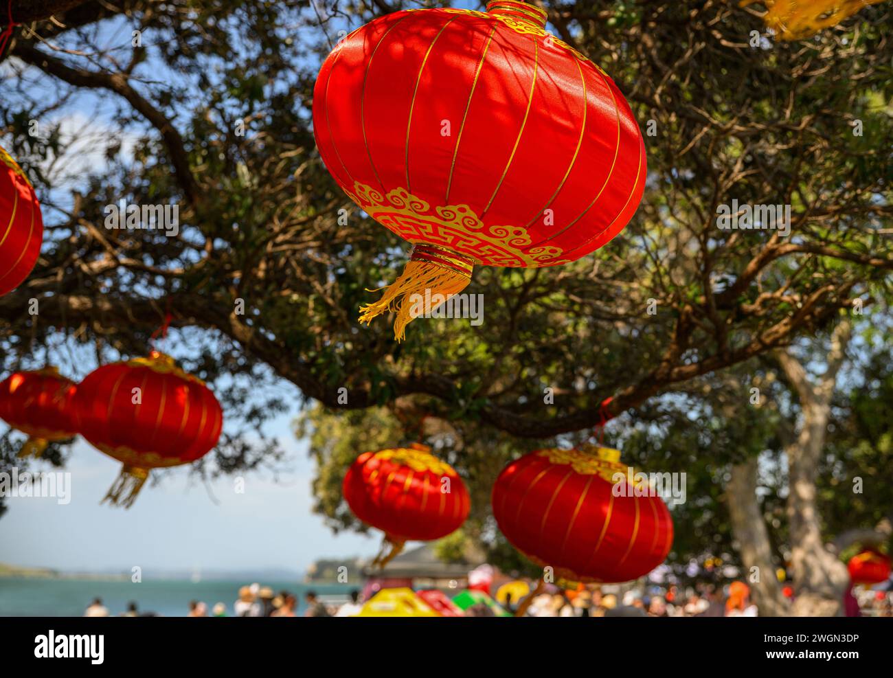 Lanternes rouges suspendues sous les arbres Pohutukawa. Grande foule célébrant le nouvel an chinois à Mission Bay. Auckland. Banque D'Images