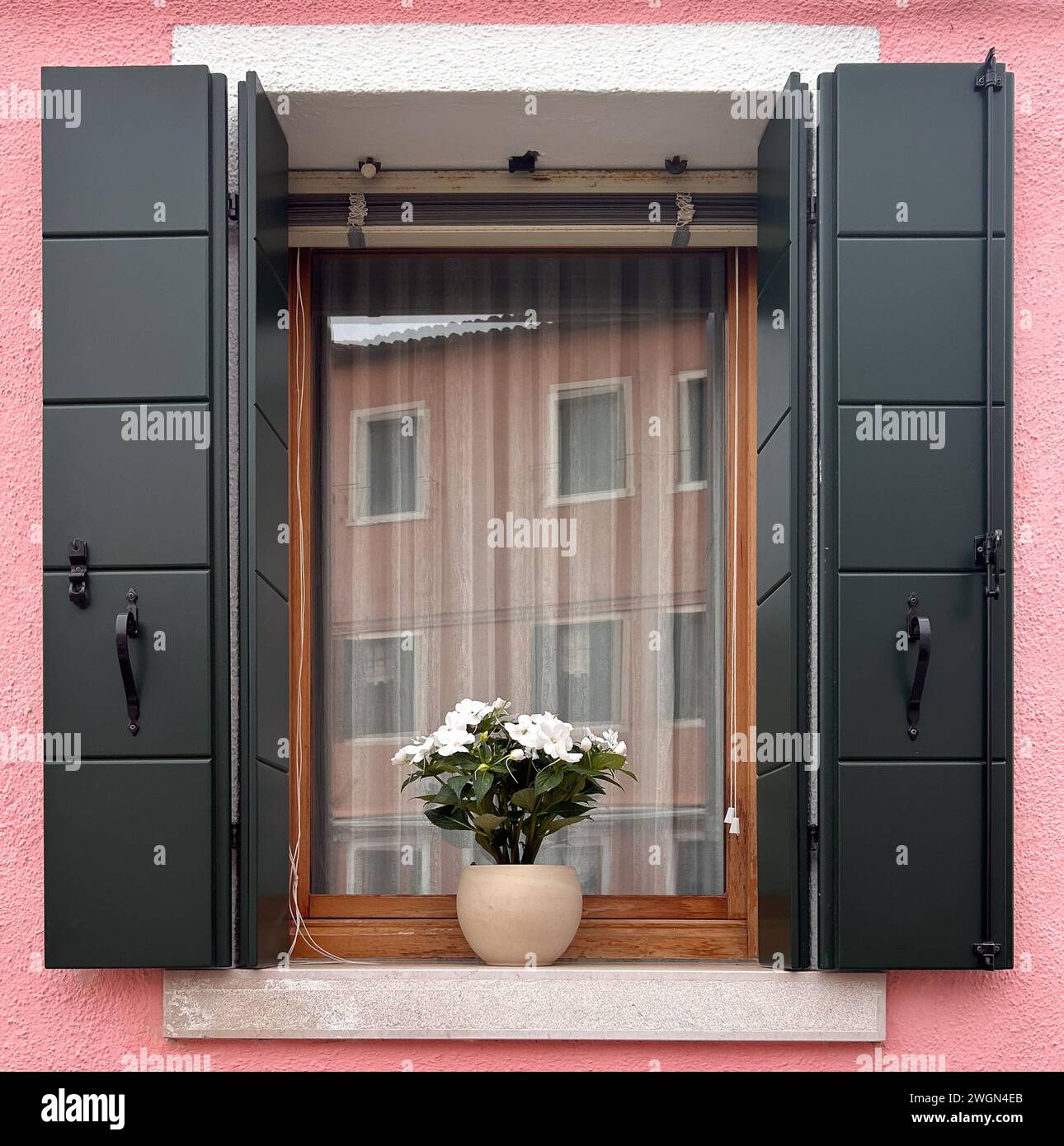 Une touche d'élégance : des volets noirs ornent une charmante maison rose à Burano, en Italie, ajoutant une allure intemporelle à ce coin pittoresque de Venezia Banque D'Images