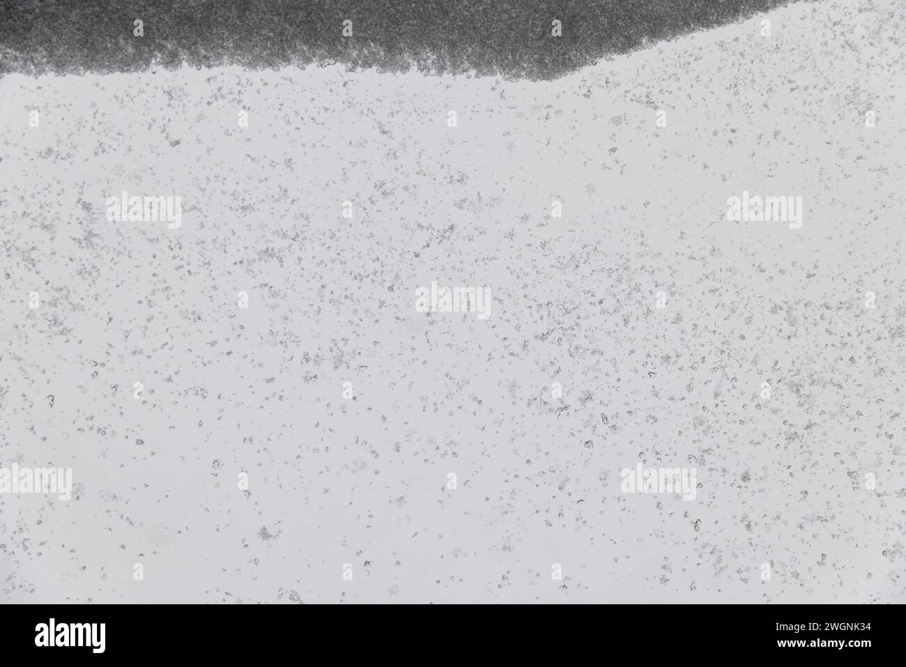 verre de voiture couvert de neige pendant une chute de neige, verre de voiture dans la neige pendant les gelées d'hiver sur une journée nuageuse Banque D'Images