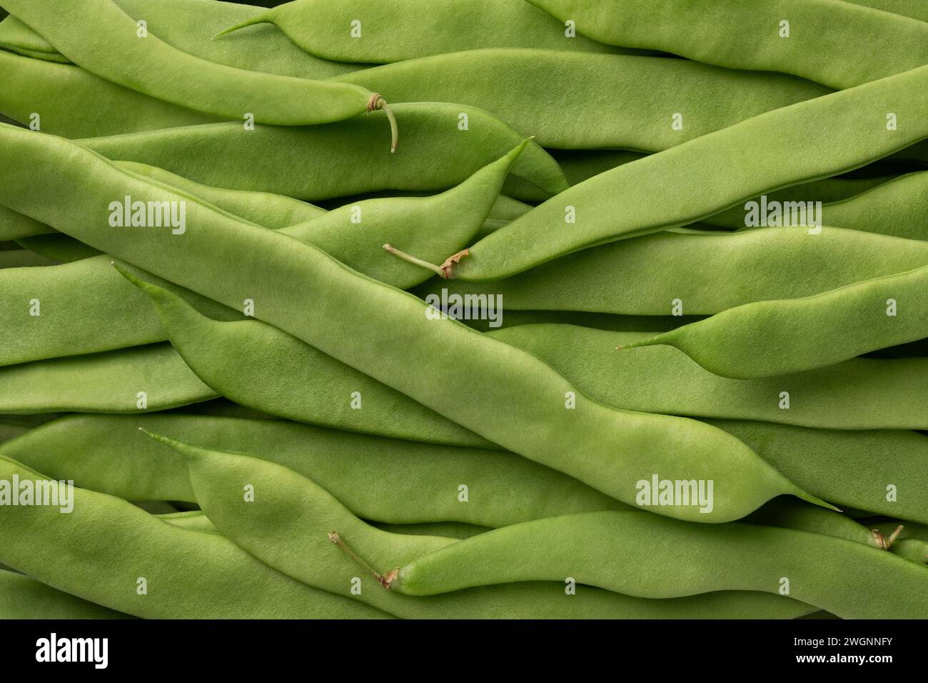 Haricots plats verts frais plein cadre gros plan comme arrière-plan Banque D'Images