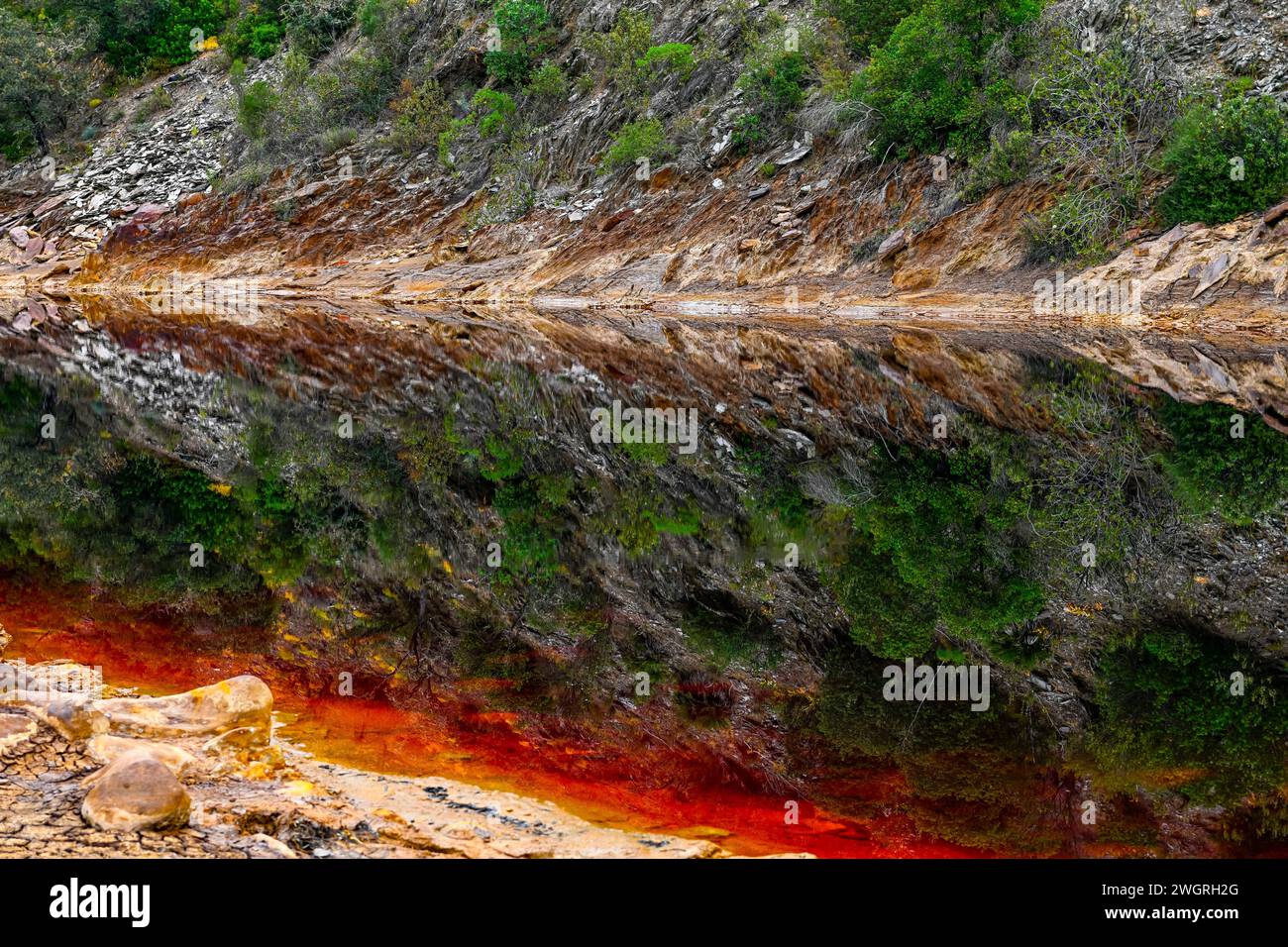 Les sédiments rouges spectaculaires du Rio Tinto contrastent fortement avec les eaux réfléchissantes sombres et la végétation luxuriante au-dessus Banque D'Images