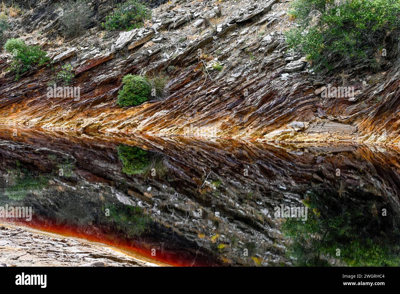 Les eaux riches de couleur rouille de Rio Tinto reflètent le paysage verdoyant des rives dans un cadre serein Banque D'Images
