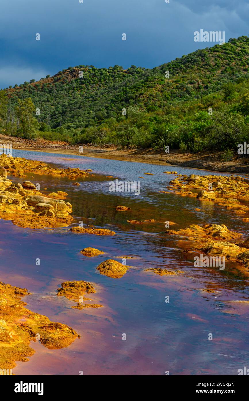Les eaux riches de couleur rouille de Rio Tinto reflètent le paysage verdoyant des rives dans un cadre serein Banque D'Images