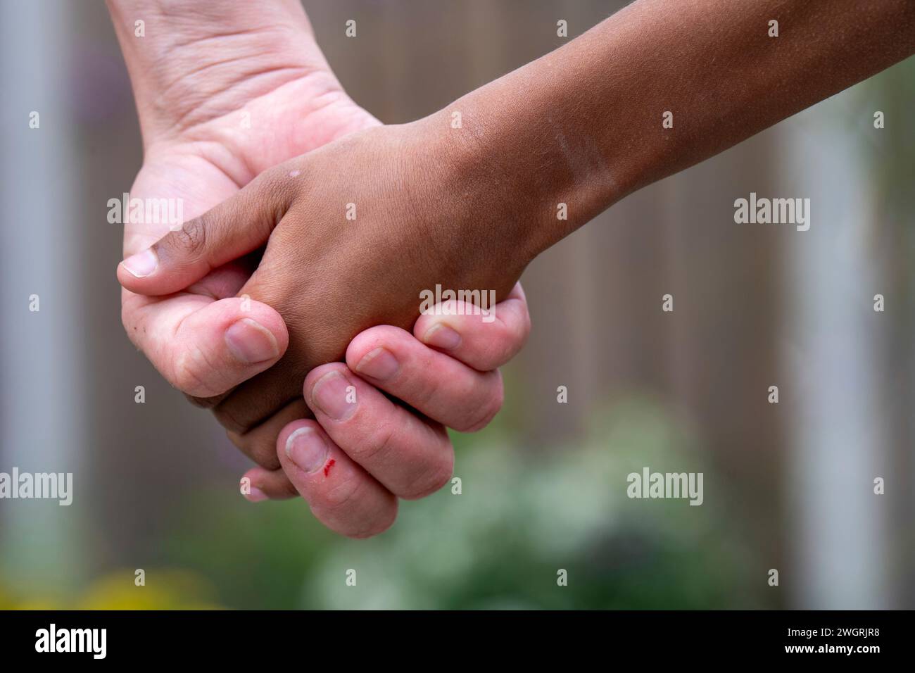 Maman et fils de race mixte tenant les mains ensemble. Uncondition Love Banque D'Images