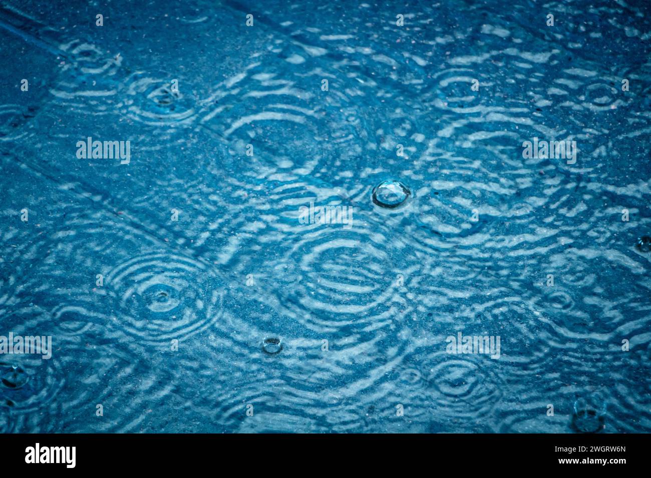 Gouttes d'eau avec des anneaux de vagues. Fond abstrait de gouttes de pluie tombantes. Banque D'Images